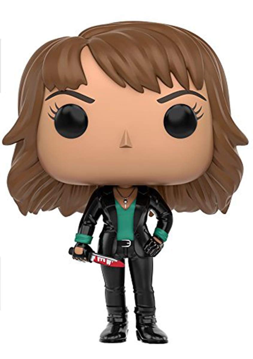 Funko Ash vs Evil Ruby Knowby Pop Television Figure