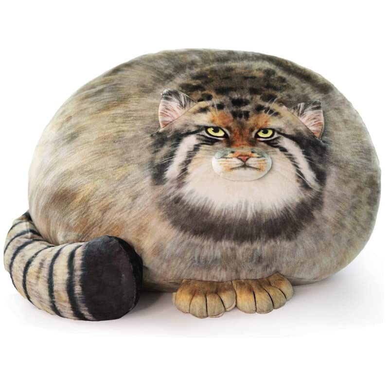 Chubby Steppe Cat Pillow,18'' Pallas Cat Plush Pillow, Cute Steppe Cat Stuffed Animals Soft Plushies, Kitten Plush Throw Pillow Doll Big Plush Toys
