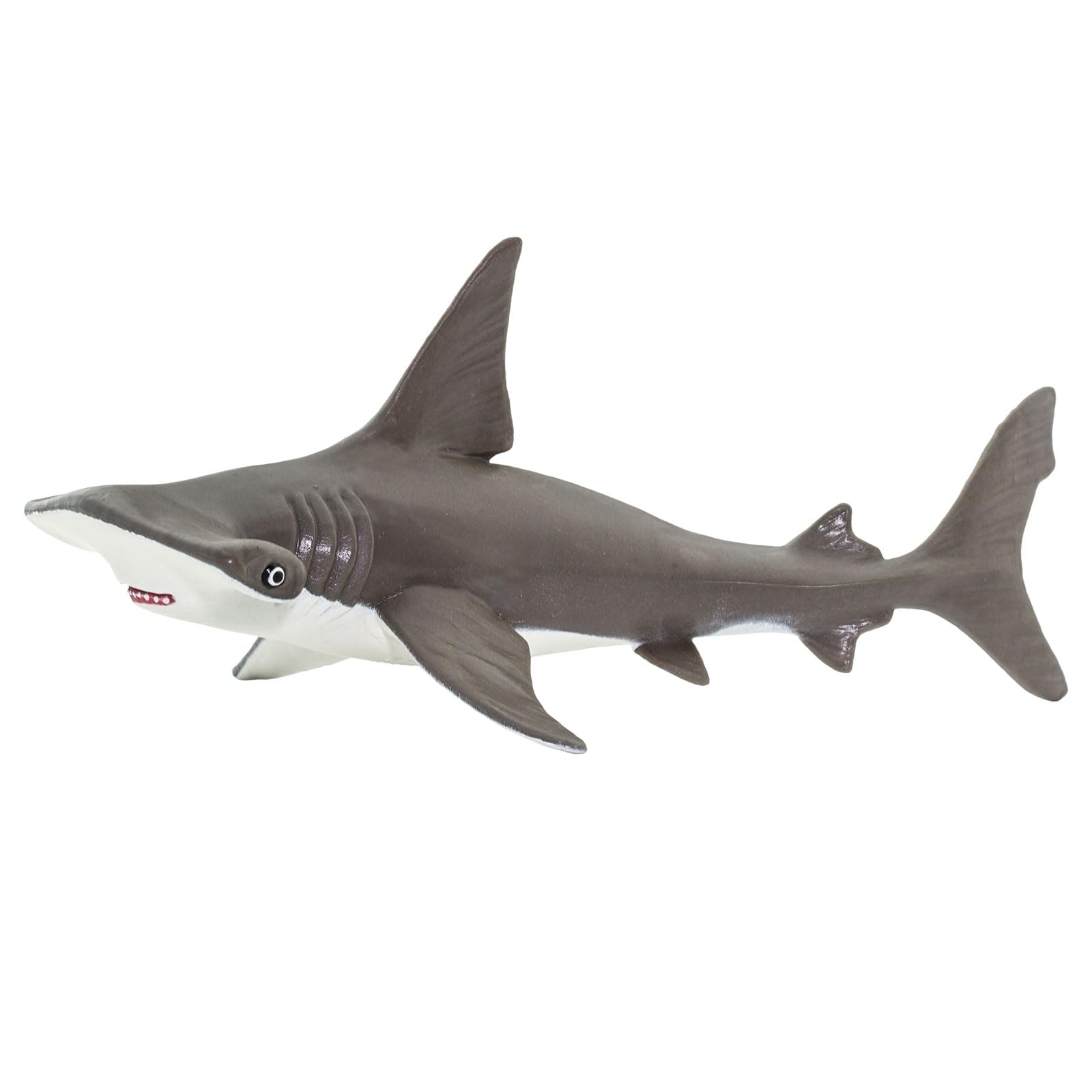 Safari Ltd. Baby Hammerhead Shark Figurine - Detailed 7" Model Figure - Educational Toy for Boys, Girls, and Kids Ages 18M+