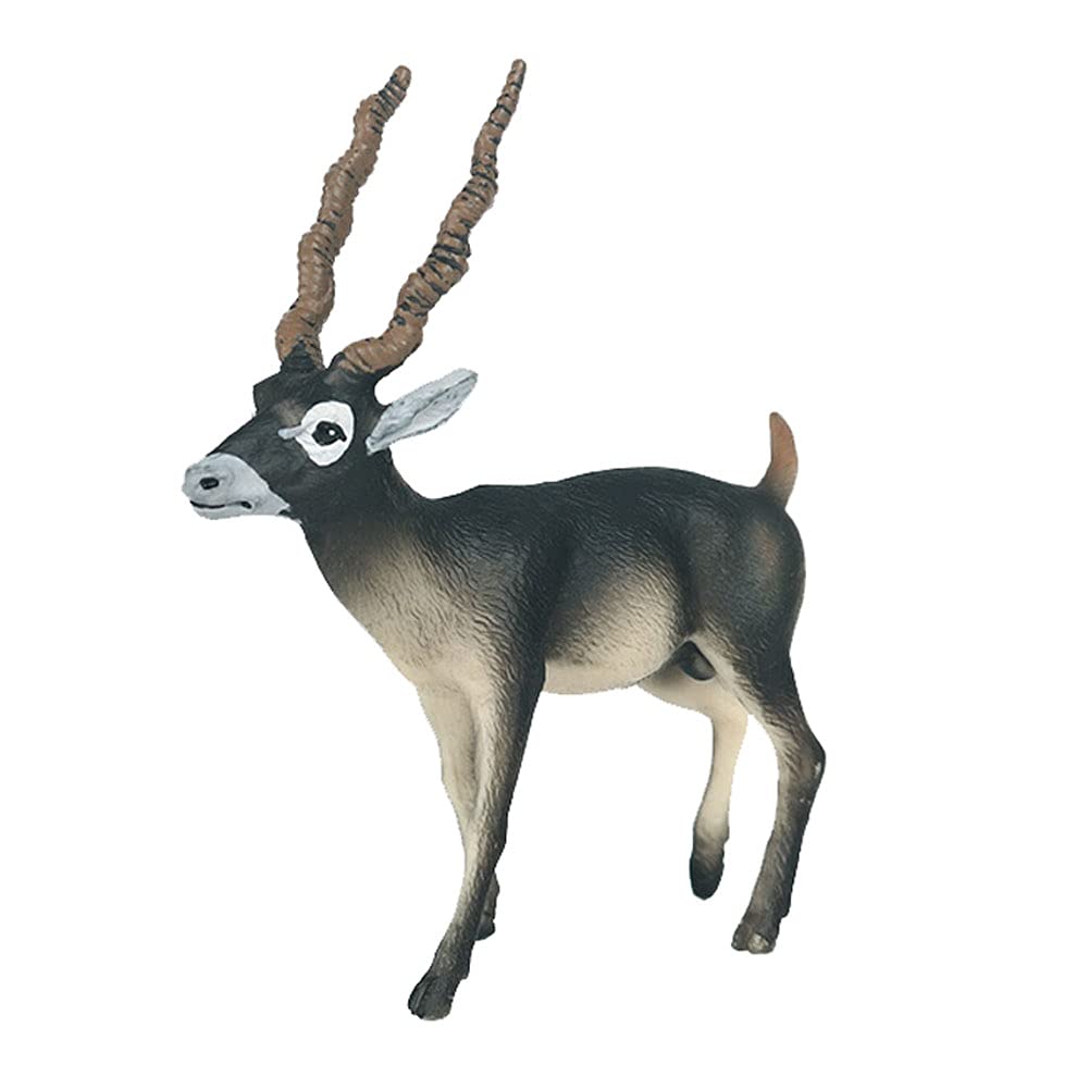 JOKFEICE Animal Figures Realistic Plastic Blackbuck Animal Action Model Science Project, Learning Educational Toys, Birthday Gift, Cake Topper