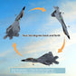 SAYZON F22 Raptor RC Plane 4CH RC Airplane LED Light 2.4GHz RC Jet for Beginners