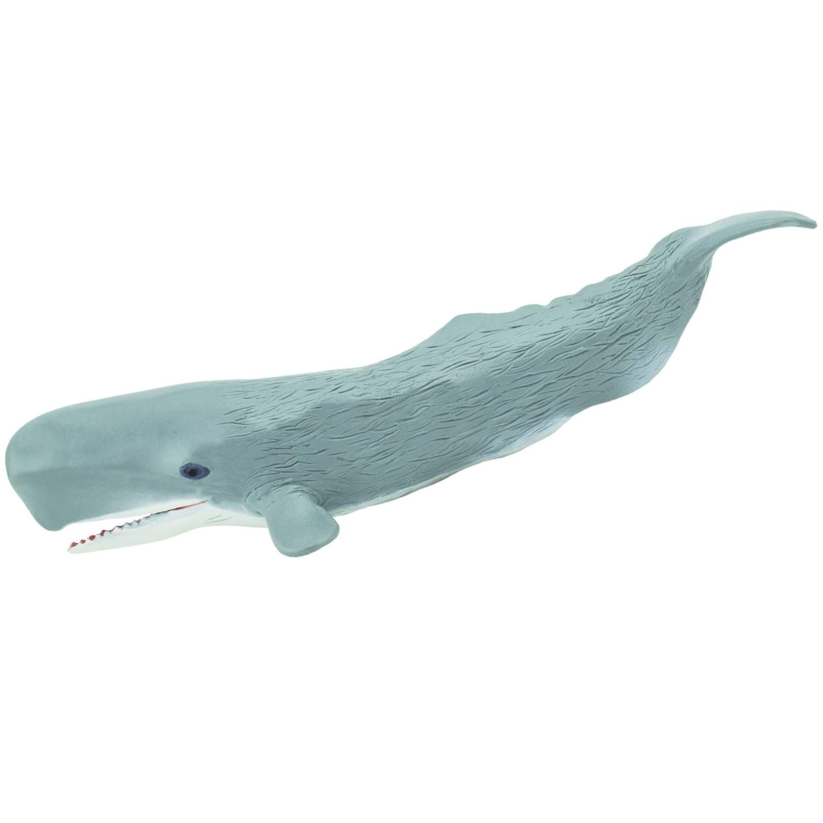 Safari Ltd. Sperm Whale Figurine - Detailed 8.5" Plastic Model Figure - Fun Educational Play Toy for Boys, Girls & Kids Ages 3+