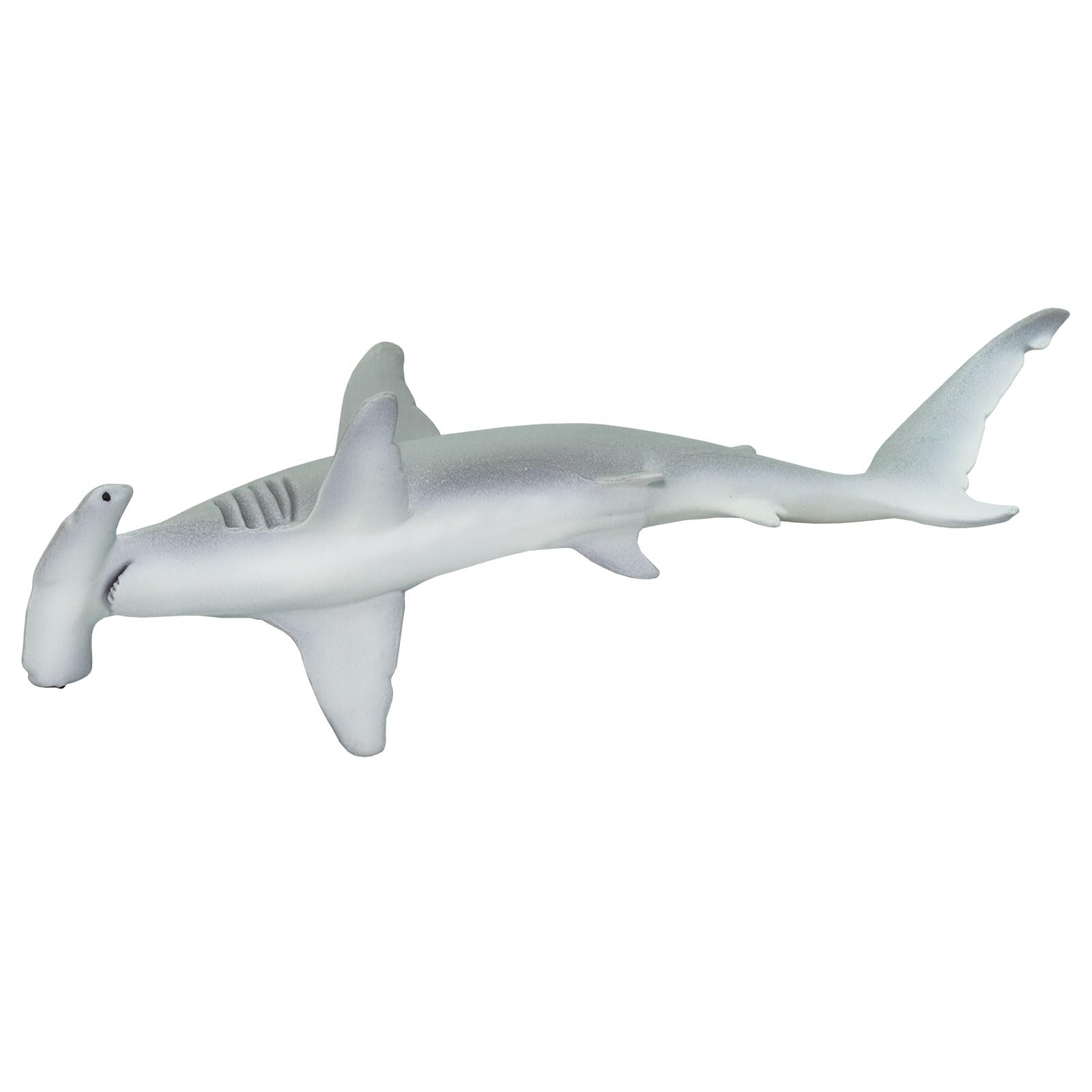 Safari Ltd. Hammerhead Shark Figurine - Lifelike 8" Plastic Model Figure - Fun Educational Play Toy for Boys, Girls & Kids Ages 1+