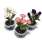 3pc Miniature Flower Clay Dollhouse Fairy Garden Mini Plant Trees Ceramic Paint Furniture Bundles Artificial Flowers Tiny Orchid #116