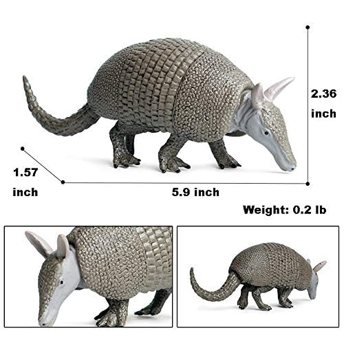 Rich Boxer Armadillo Figurine Realistic Plastic Armadillo Figurine for Home Decor Collection