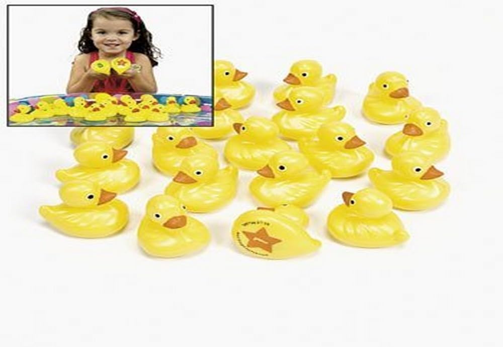 Fun Express Duck Matching Game (Set of 20 Rubber Duckies) Party Games