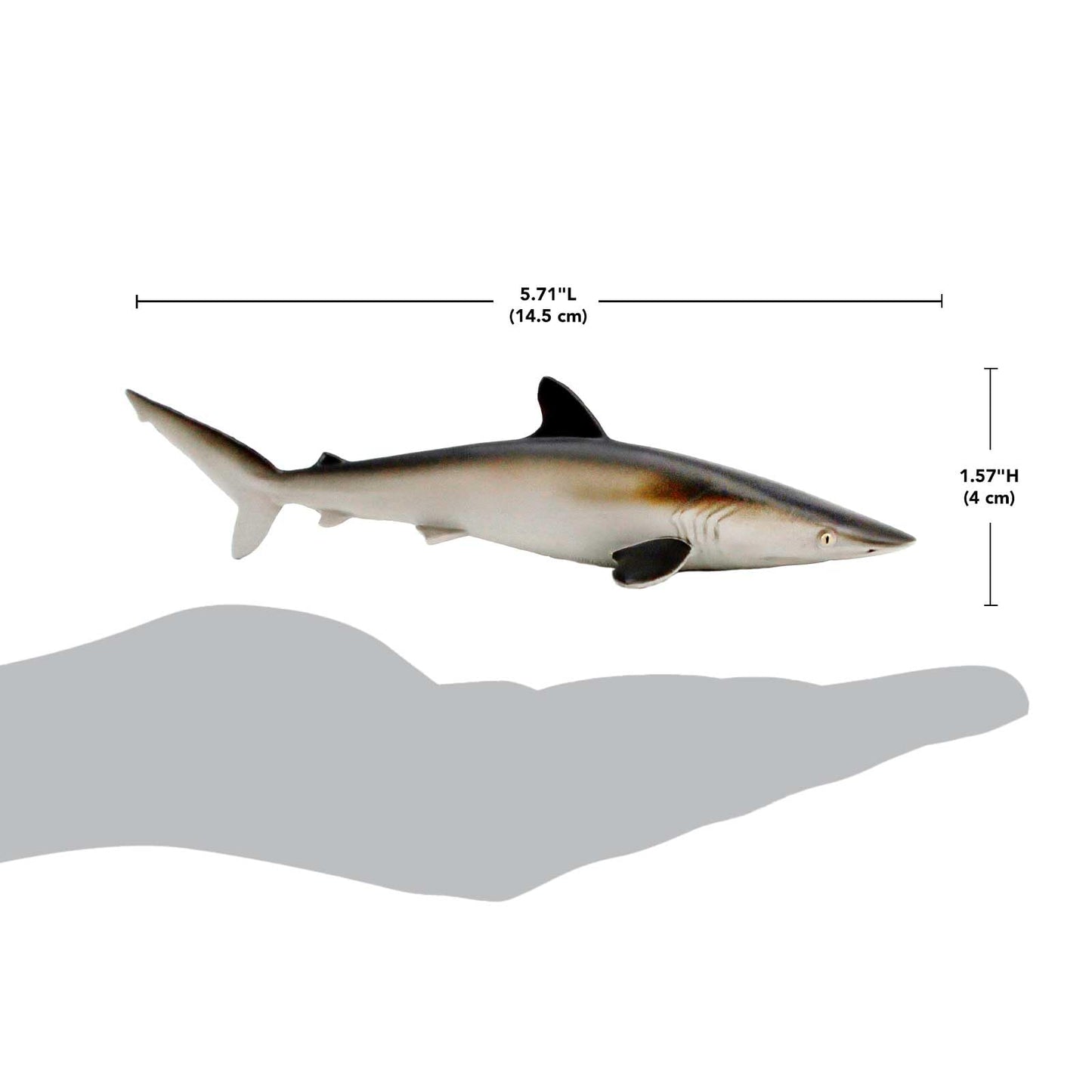 Safari Ltd. Silky Shark - Realistic 5.5" Sea Life Figure - Educational Toy for Boys, Girls, and Kids Ages 3+