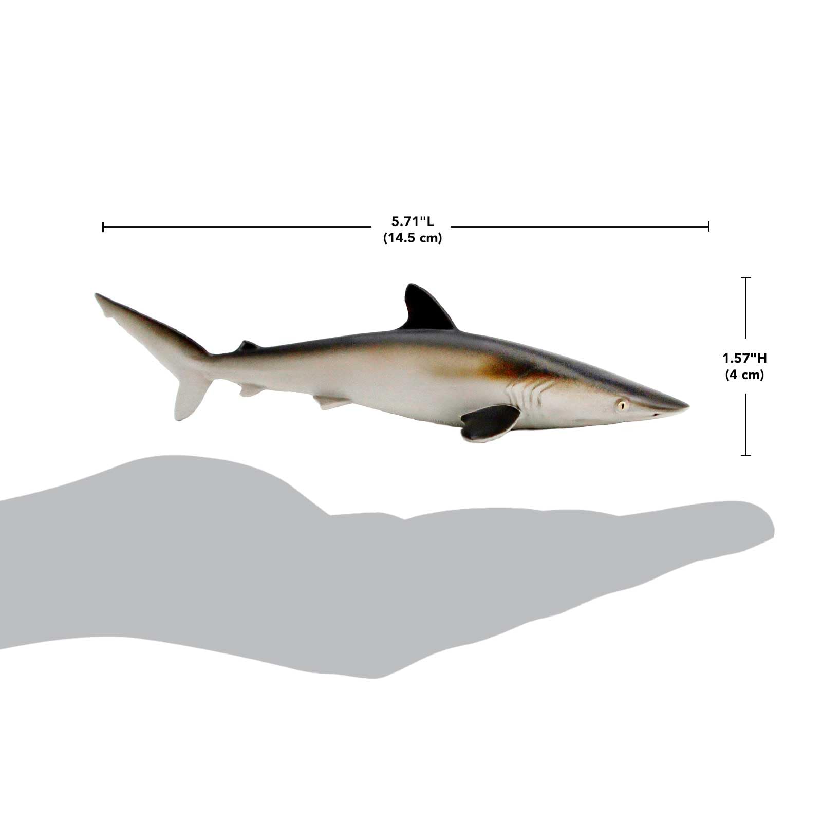 Safari Ltd. Silky Shark - Realistic 5.5" Sea Life Figure - Educational Toy for Boys, Girls, and Kids Ages 3+
