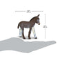 Safari Ltd. Donkey Figurine - Detailed 4" Plastic Model Figure - Fun Educational Play Toy for Boys, Girls & Kids Ages 3+