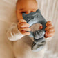 Mary Meyer Teething Toys Leika Silicone Baby Teether for Babies 0-12 Months, 9-Inches, Little Raccoon