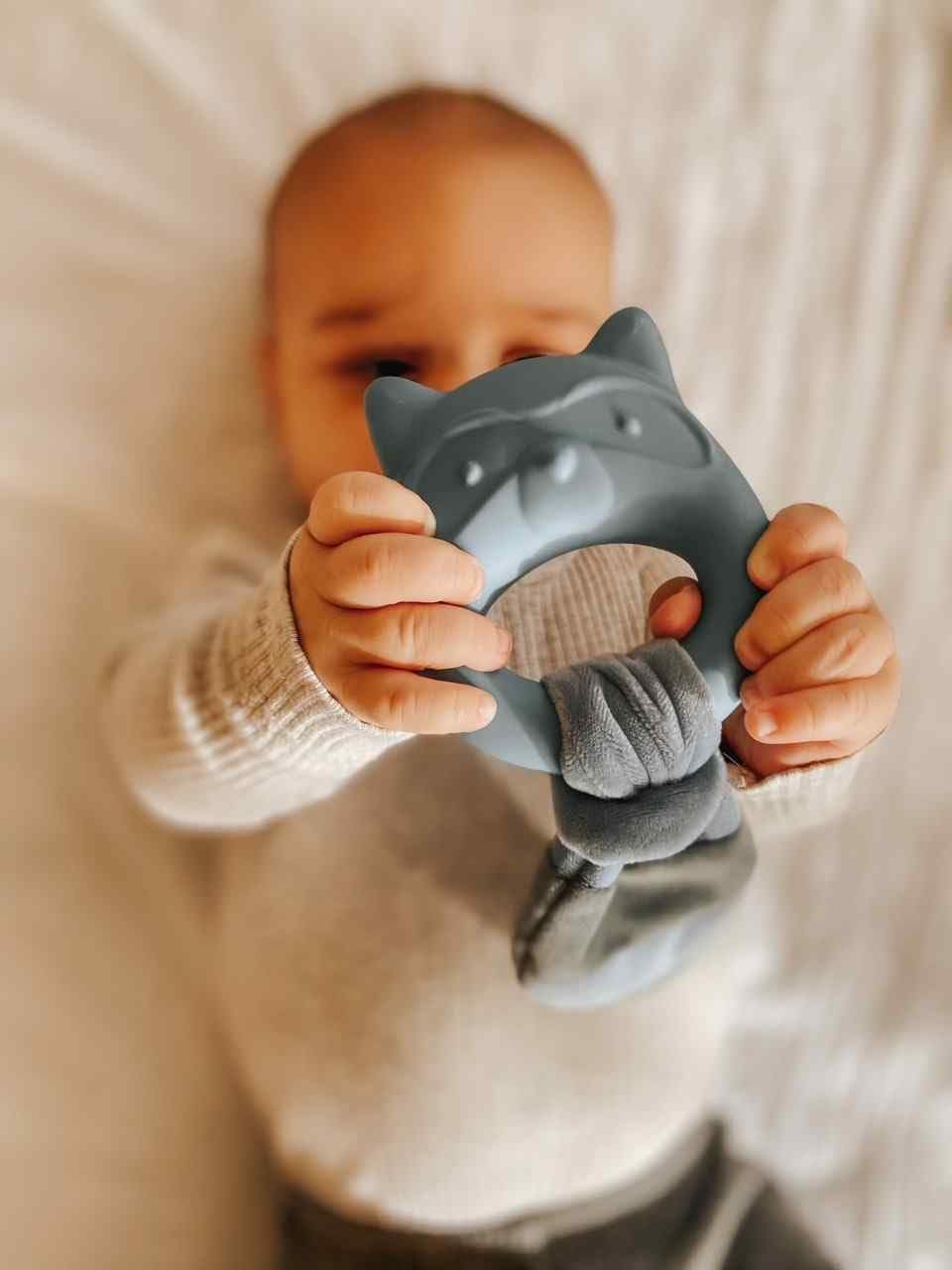 Mary Meyer Teething Toys Leika Silicone Baby Teether for Babies 0-12 Months, 9-Inches, Little Raccoon