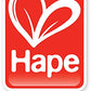 Hape Crafts - Paint-A-Pattern Tote