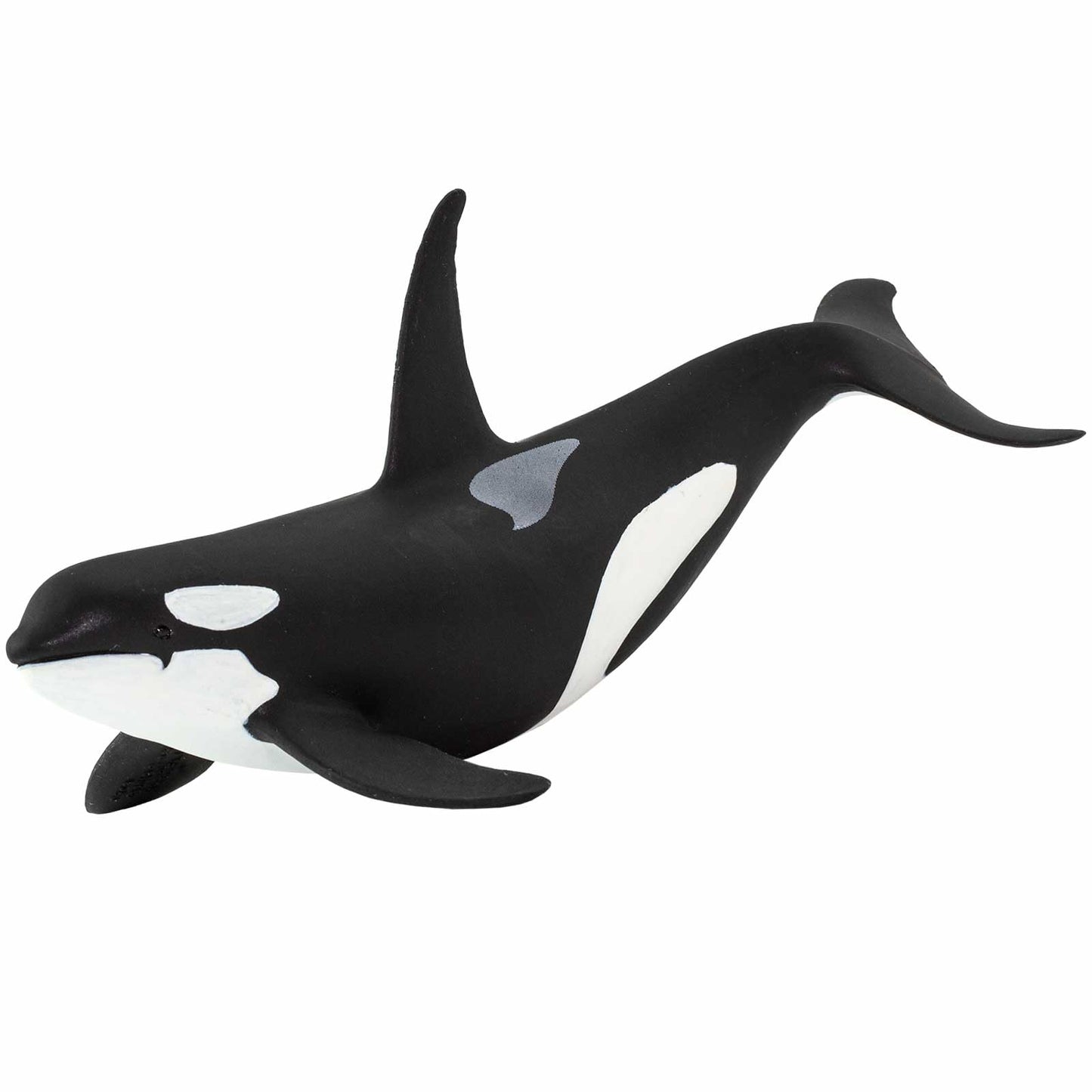 Safari Ltd. Wild Safari Sea Life Orca Figurine - Realistic 6" Killer Whale Model Figure - Educational Toy for Boys Girls & Kids Age 3+