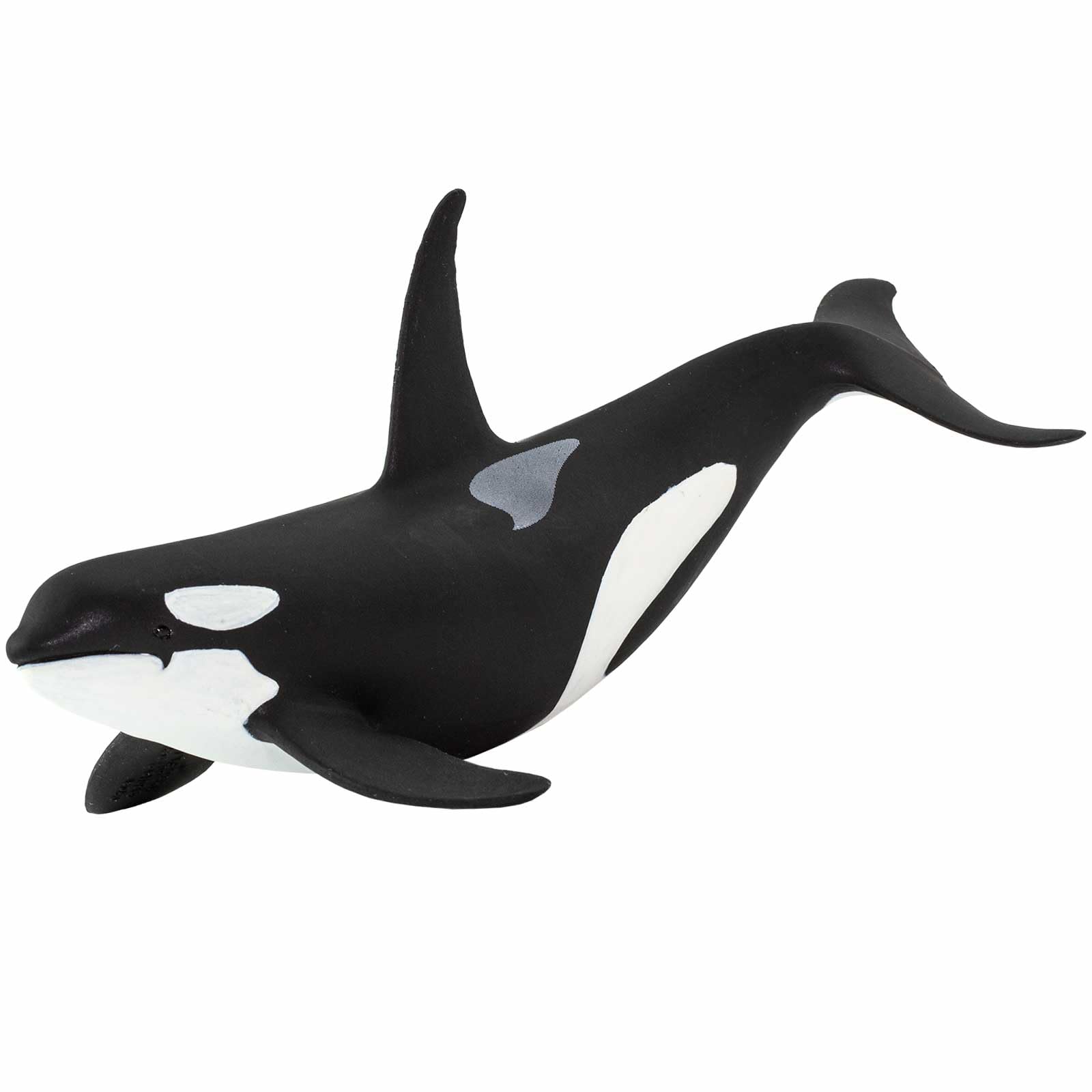 Safari Ltd. Wild Safari Sea Life Orca Figurine - Realistic 6" Killer Whale Model Figure - Educational Toy for Boys Girls & Kids Age 3+