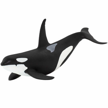 Safari Ltd. Wild Safari Sea Life Orca Figurine - Realistic 6" Killer Whale Model Figure - Educational Toy for Boys Girls & Kids Age 3+