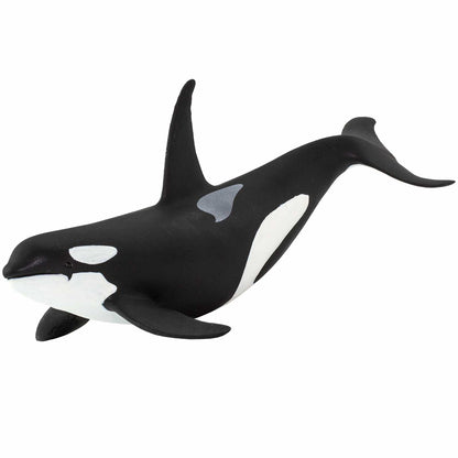 Safari Ltd. Wild Safari Sea Life Orca Figurine - Realistic 6" Killer Whale Model Figure - Educational Toy for Boys Girls & Kids Age 3+