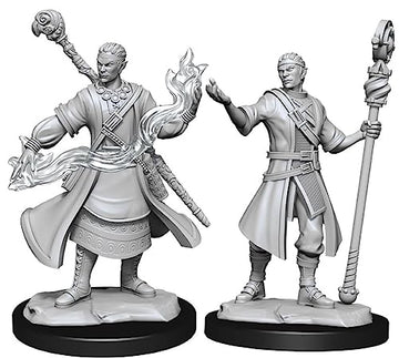 D&D Nolzur's Marvelous Miniatures: Half-Elf Wizard Male