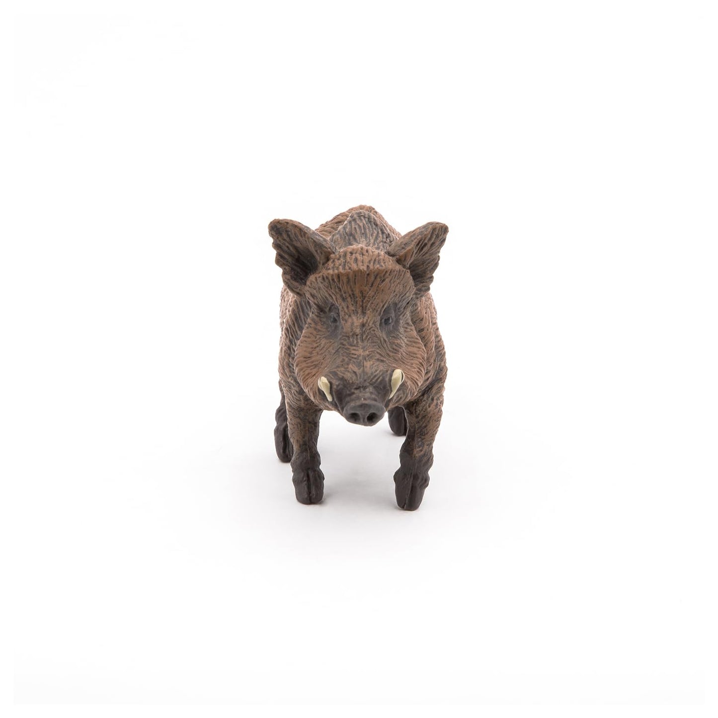 Papo - Realistic Wild Boar Figure Toy for Kids - Ages 3+ - Wild Life Collection - Educational Play Forest Animals Discovery - Gift Idea Toy for Girls