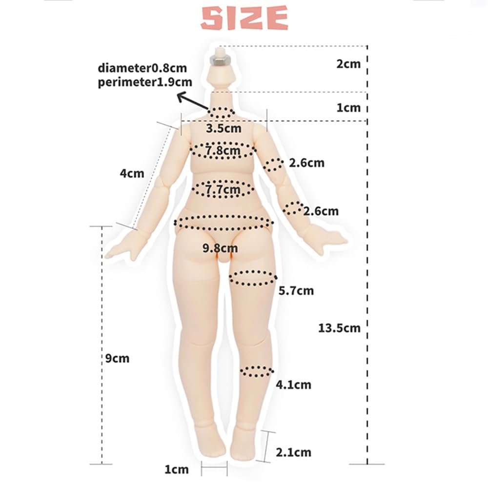 XiDonDon Big 1/8 Scale BJD Doll Body 16cm (6.3 inch) Height Action Figure Body Doll Model, White Skin Color,1/8 BJD Doll Accessories