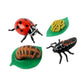 Insect Lore Bug Camp Bundle - Butterfly Kit with 5 Live Caterpillars, Ladybug Land with 1 Tube Live Larvae, Ant Mountain with 1 Tube Live Western
