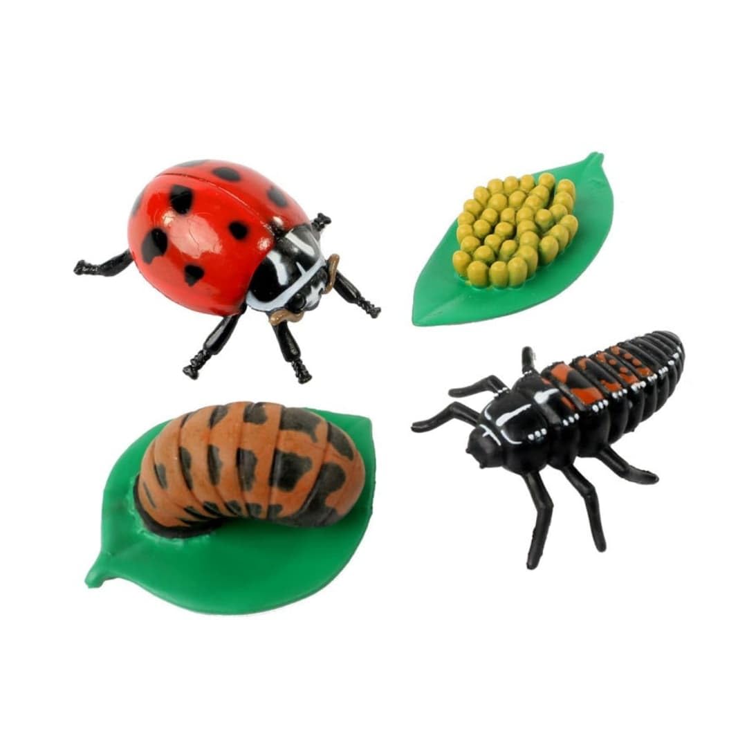 Insect Lore Bug Camp Bundle - Butterfly Kit with 5 Live Caterpillars, Ladybug Land with 1 Tube Live Larvae, Ant Mountain with 1 Tube Live Western