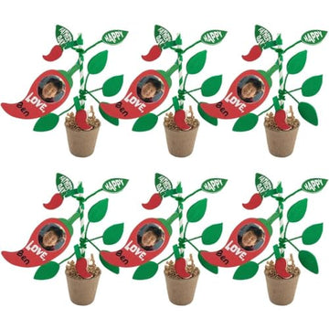 Growing Pepper Father’s Day Craft Kit, Makes 6
