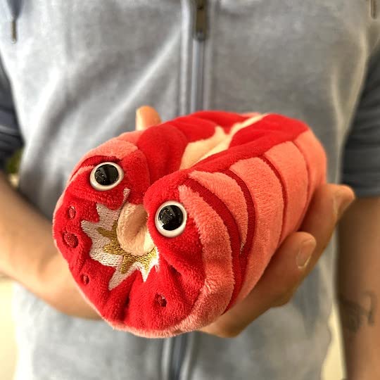 GIANT MICROBES Asthma Plush, Pulmonology Gifts, Respiratory Therapy, Anatomy Model, Emotional Support Pal, Chronic Pain, Pulmonary Gifts, Pulmonary