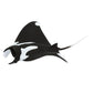 Safari Ltd. Manta Ray Figurine - Hand-Painted, Realistic 5.75" Sea Life Model Figure- Educational Toy for Boys, Girls & Kids Ages 3+