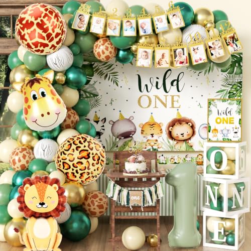 Wild One Birthday Decorations,1st Birthday Decorations Boy or Girl, Jungle Safari Themed Backdrop, Balloons Garland, Banner, Balloon Boxes for First
