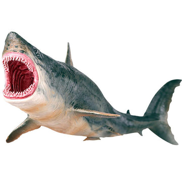 EOIVSH Large Shark Toys Megalodon, Plastic Assorted Ocean Animal Shark Figurine Realistic Sea Creature Toy Figure for Collection Gift, Bath Toy, Cake