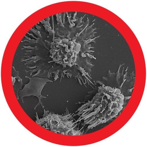 GIANT MICROBES Melanoma Plush, Transforms to Healthy Cell, Inspirational Comfort & Recovery Gift for Chemo Patients, Cancer Care Gifts, Child Life