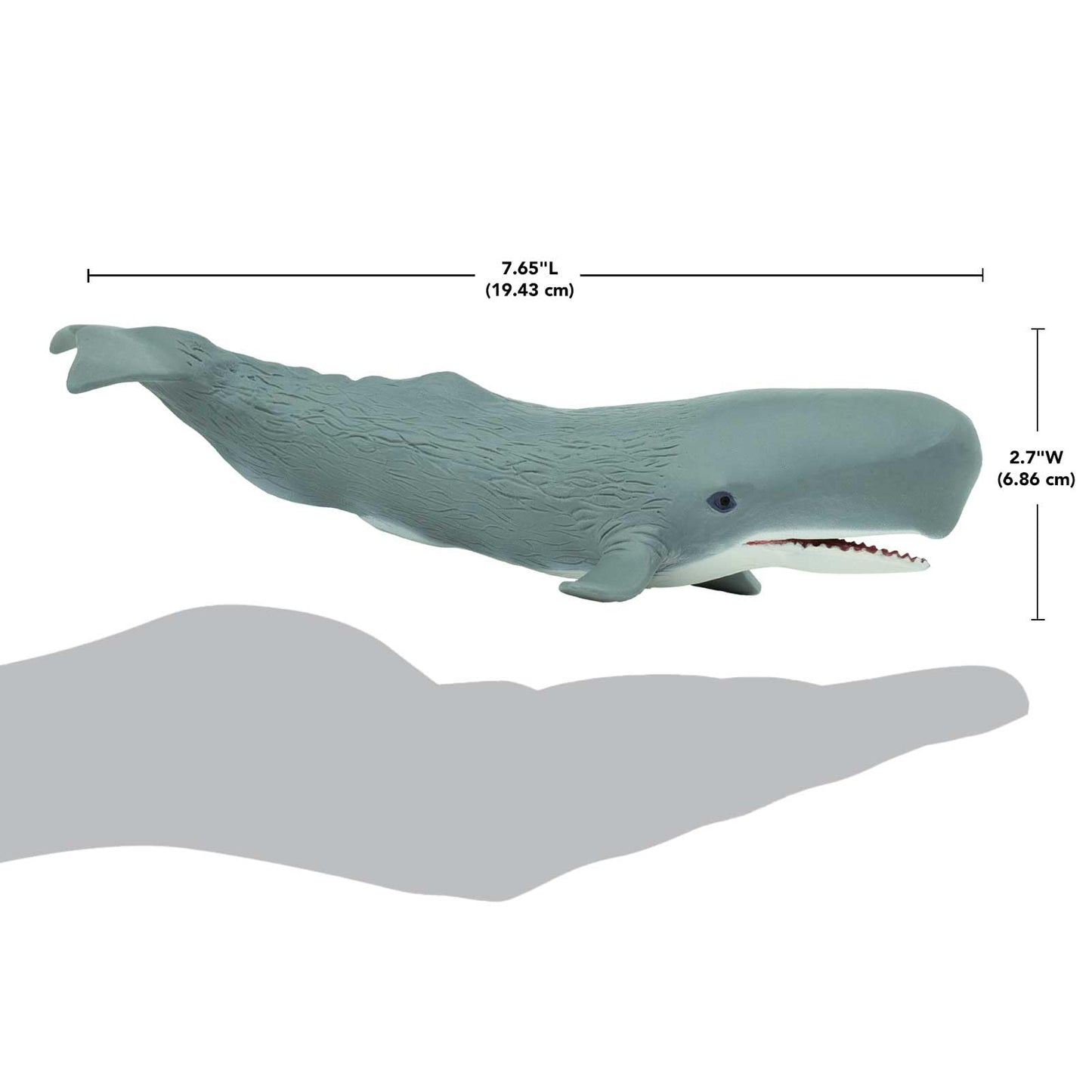 Safari Ltd. Sperm Whale Figurine - Detailed 8.5" Plastic Model Figure - Fun Educational Play Toy for Boys, Girls & Kids Ages 3+