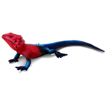 Safari Ltd. Mwanza Flat-Headed Rock Agama Lizard Figurine - Detailed 9.5" Plastic Model Figure - Fun Educational Toy for Boys, Girls & Kids Ages 3+