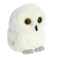 Aurora Rolly Pet 5" Hoot Owl Playful Stuffed Animal
