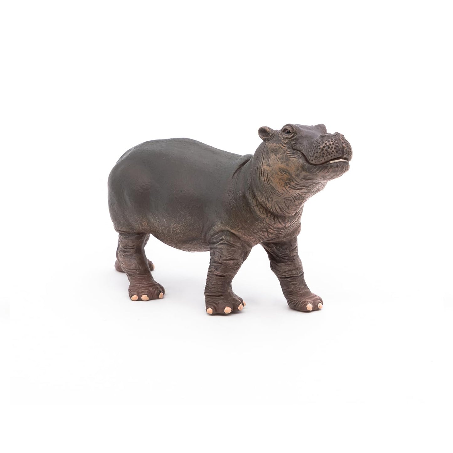 Papo - Realistic Baby Hippopotamus Figure - Ages 3+ - Wild Life Collection - Educational Play Young Animals - Gift Idea Toy for Girls and Boys