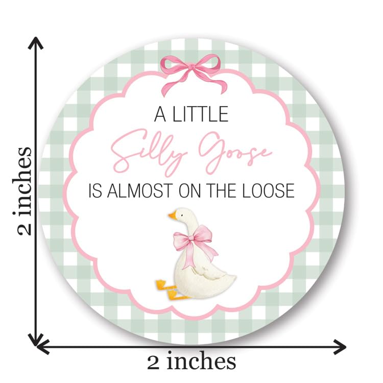 A Little Silly Goose is Almost on The Loose, Baby Shower Sticker, Gingham Pattern with Goose Theme, Round Label - Set of 40 (Pink)