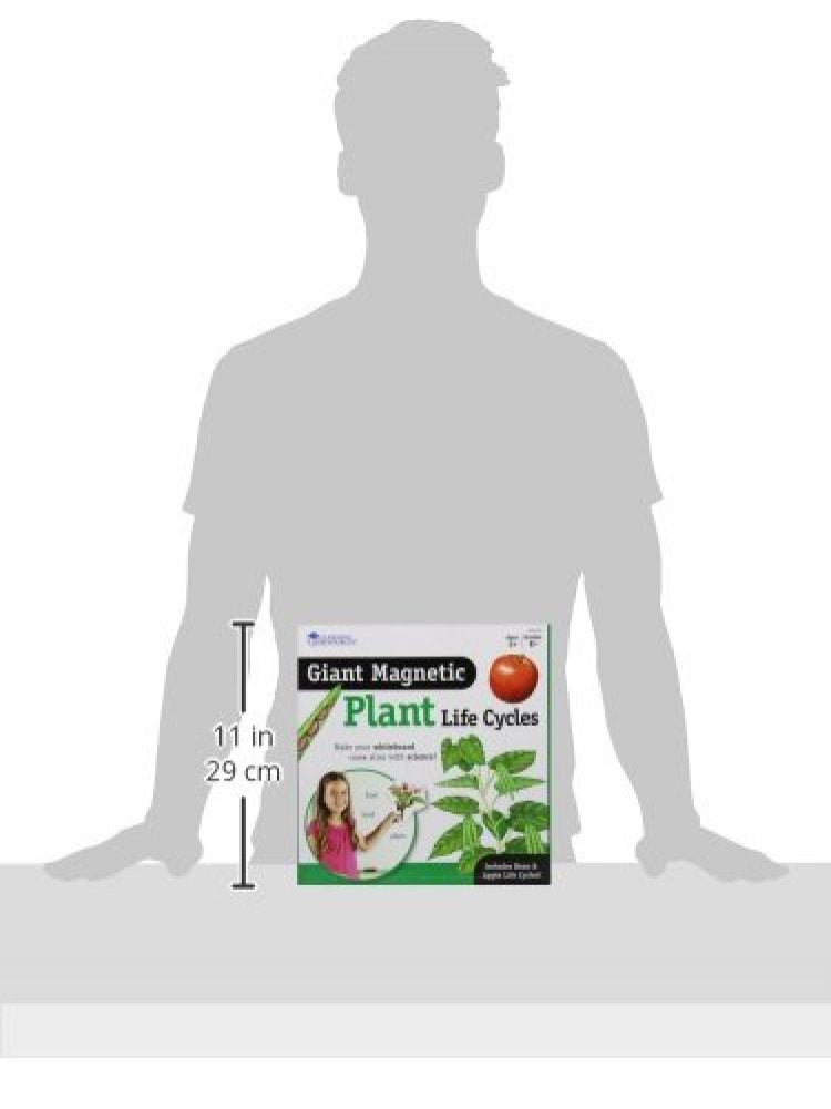 Learning Resources Giant Magnetic Plant Life Cycle - STEM Growing Seed, Montessori Tree , Biology Cards, Classroom Teacher Must Haves Activities