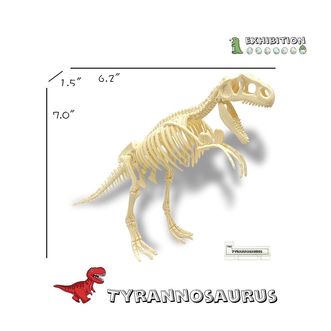 YODAR 3 Pcs Dinosaur Fossil Skeleton DIY Toys 8.7 Inch Educational Puzzles Model Set for Kids Over 8 Years Old