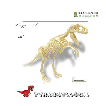 YODAR 3 Pcs Dinosaur Fossil Skeleton DIY Toys 8.7 Inch Educational Puzzles Model Set for Kids Over 8 Years Old