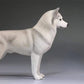 Lana Toys 1:6 Scale Siberian Husky Dog Pet Figure Puppy Animal Model Resin Decoration Gift (Light Gray)
