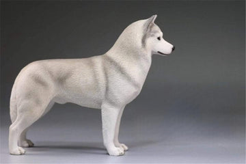 Lana Toys 1:6 Scale Siberian Husky Dog Pet Figure Puppy Animal Model Resin Decoration Gift (Light Gray)