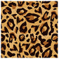 40pcs Animal Leopard Print Party Napkins Disposable Jungle Animal Print Tableware Dinner Napkin for Safari Leopard Themed Birthday Baby Shower Party