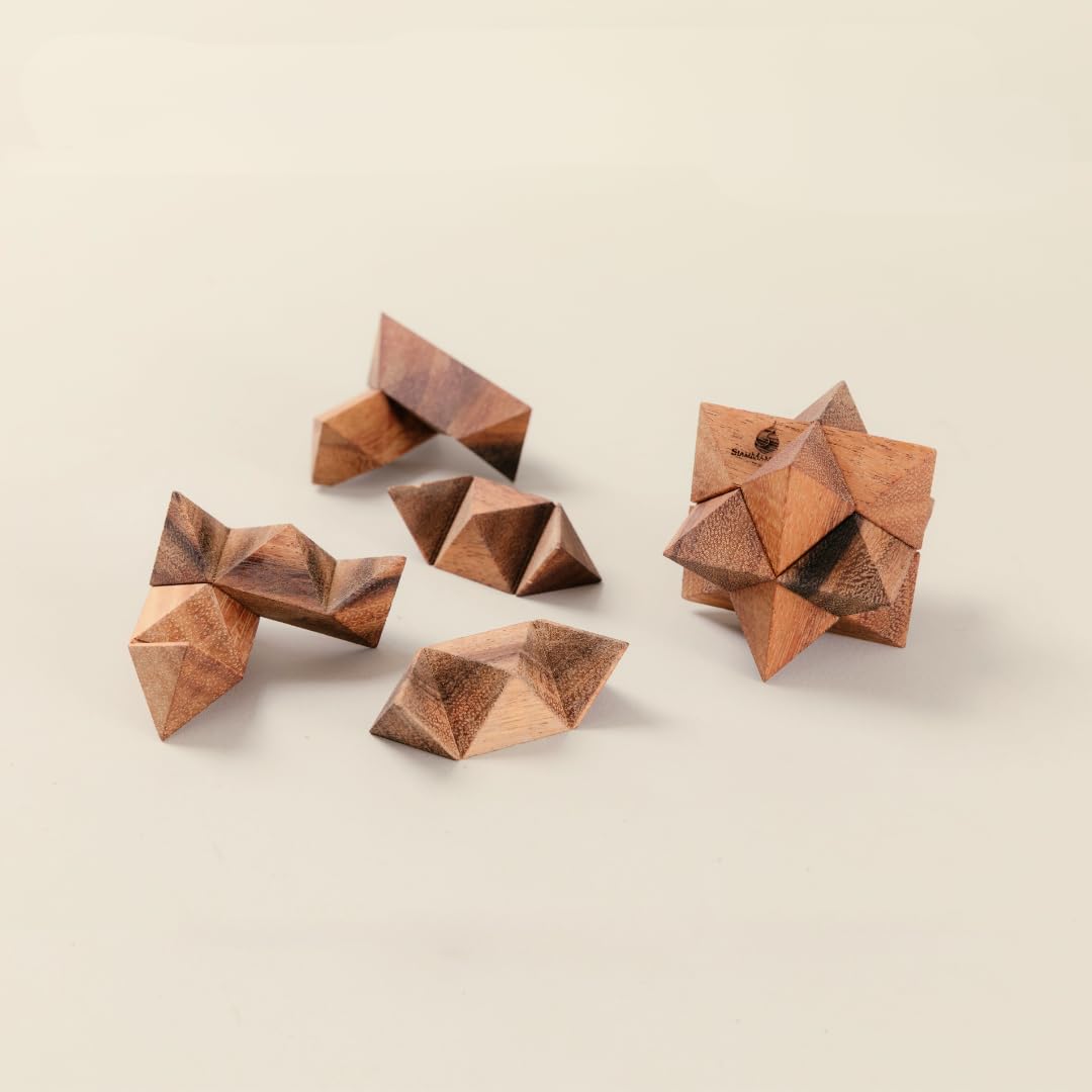 Shooting Star Puzzle: 3D Brain Teaser Wooden Puzzle for Adults Classic Handheld Interlocking STEM Skill Builder Interlocking Game Educational