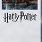 Buffalo Games - Harry Potter Hogwarts Castle - 1000 Piece Puzzle for Adults