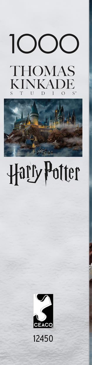Buffalo Games - Harry Potter Hogwarts Castle - 1000 Piece Puzzle for Adults