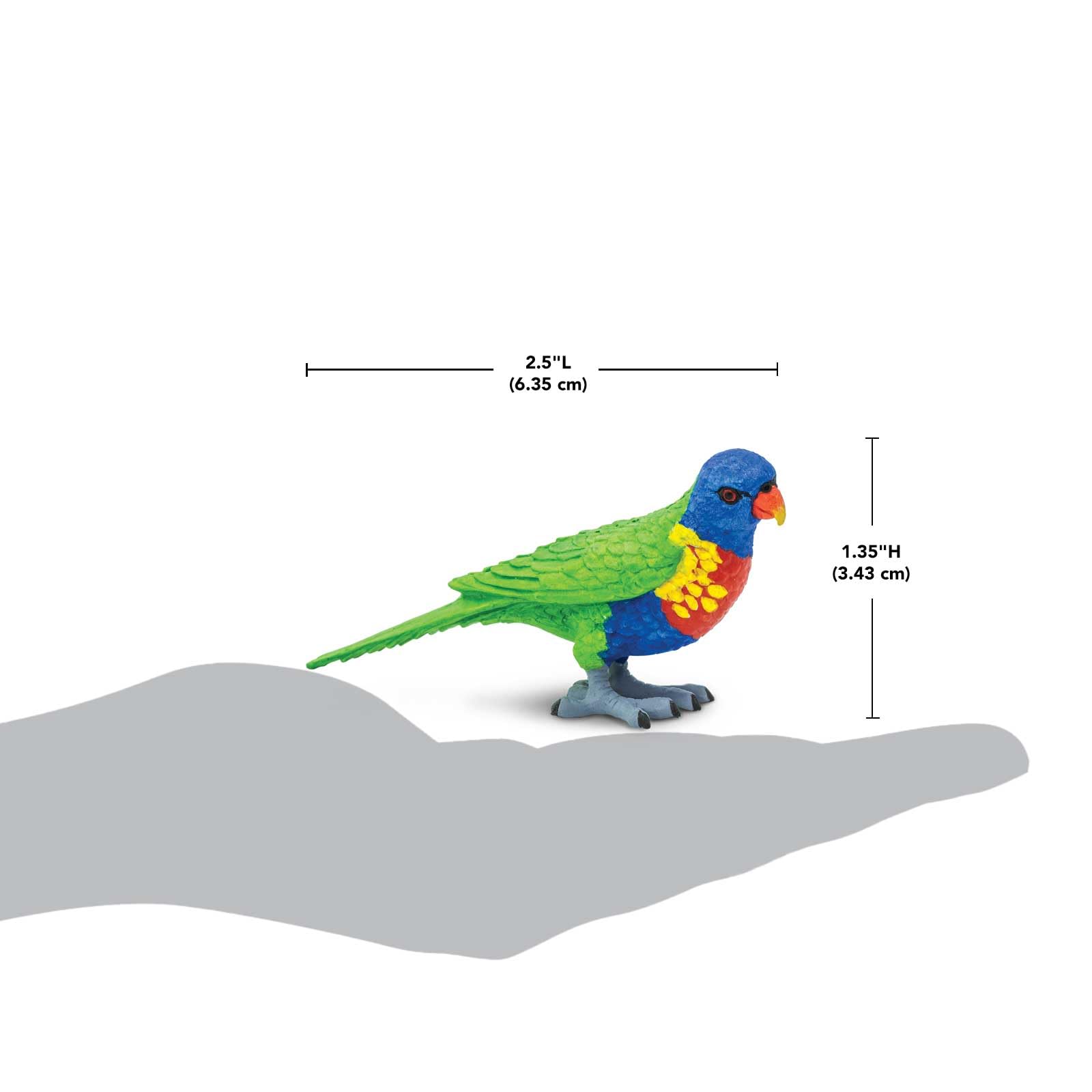 Safari Ltd. Lorikeet Figurine - Detailed 2.5" Plastic Model Figure - Fun Educational Play Toy for Boys, Girls & Kids Ages 3+