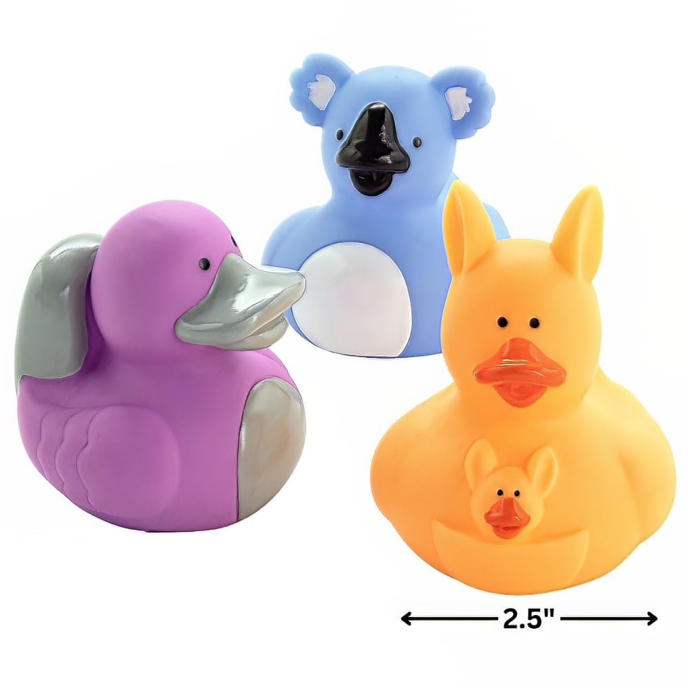 Fun Express Rubber Ducks, Assorted Styles, 12 Pieces, Birthdays, Grand Events, Party Favors, Table Decorations, Treasure Chest Supplies (Australian