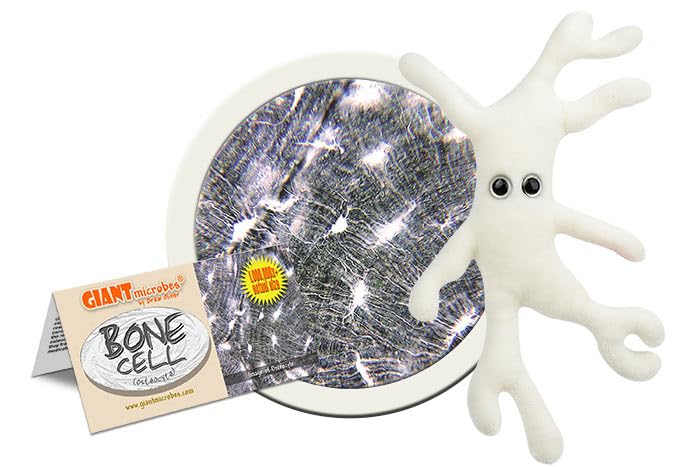 GIANT MICROBES Bone Cell (Osteocyte) Plush Toy