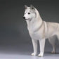 Lana Toys 1:6 Scale Siberian Husky Dog Pet Figure Puppy Animal Model Resin Decoration Gift (Light Gray)
