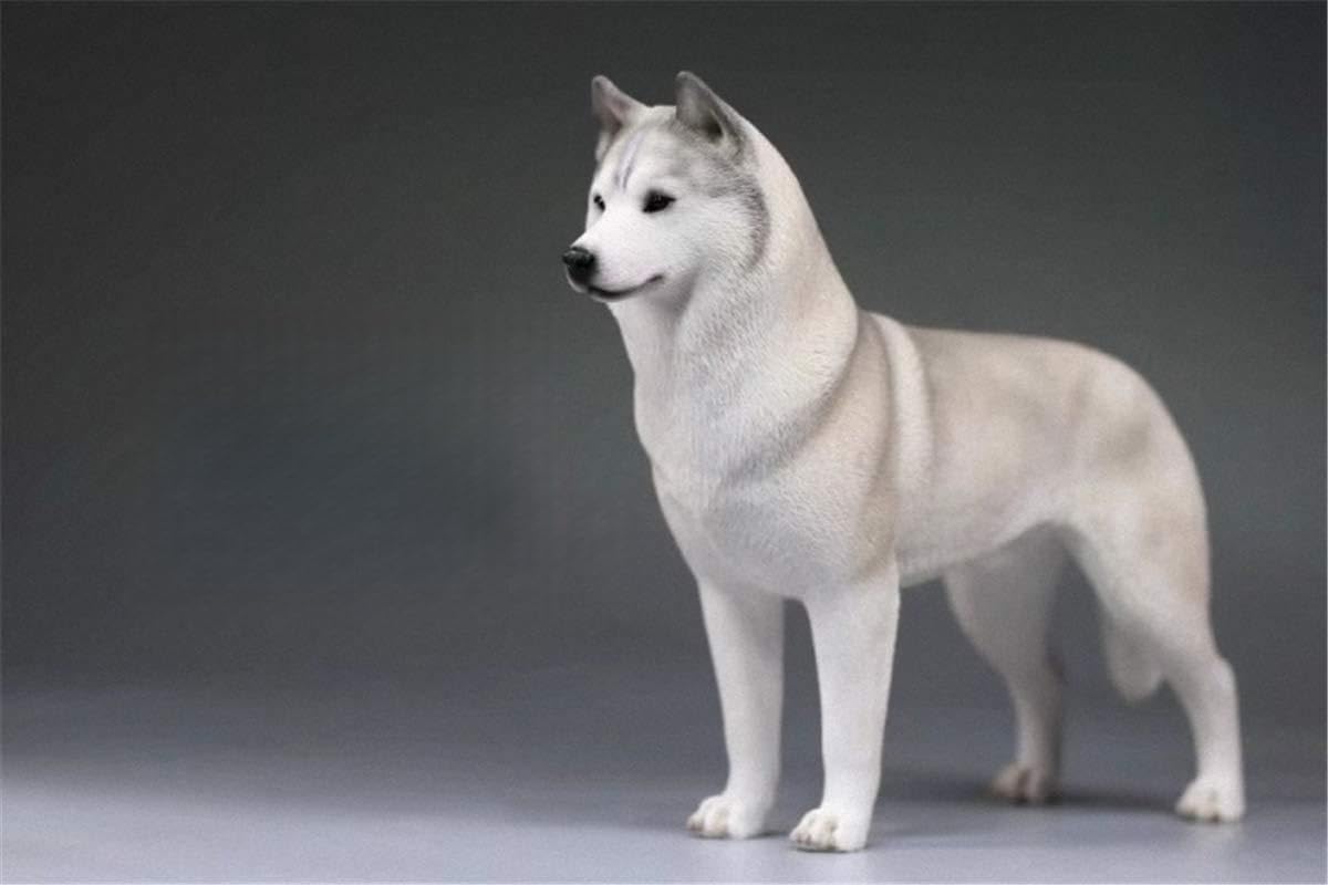 Lana Toys 1:6 Scale Siberian Husky Dog Pet Figure Puppy Animal Model Resin Decoration Gift (Light Gray)